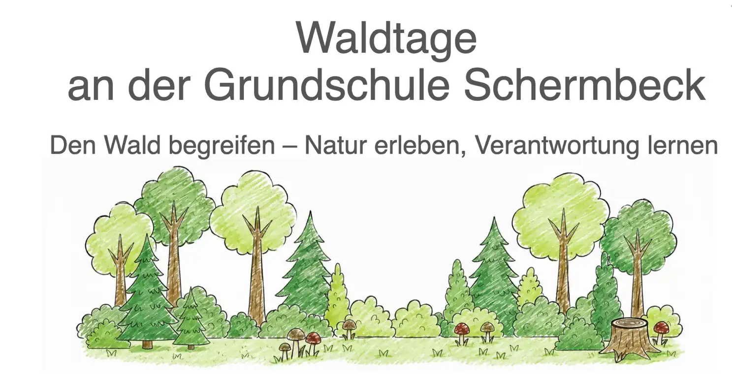 Featured image for “Waldtage an unserer Schule: Unser Wald wird zum Klassenzimmer”
